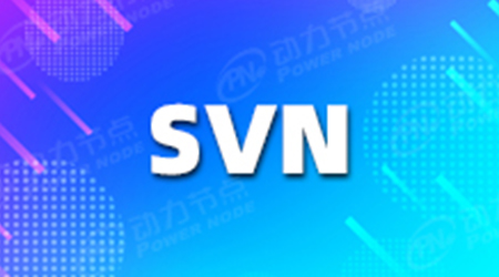 SVN視頻教程 初學者必備