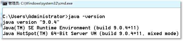 測(cè)試java.exe是否可用