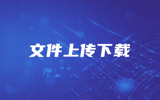 Java文件上傳下載視頻教程