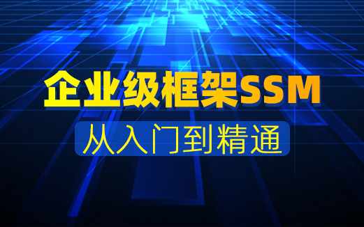 SSM實戰(zhàn)視頻教程