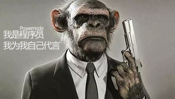 軟件工程師