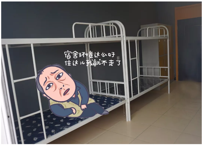 “蘇大強表情包”之動力節點版