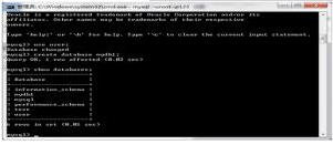 Java DDL之操作數據庫視頻教程下載