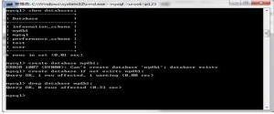 Java DDL之操作數據庫視頻教程下載
