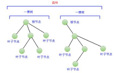 Java入門菜鳥教程下載之樹和二叉樹基礎